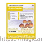 GrowKit  Golden Teacher  2100ml (1)