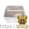 psilocybe-cubensis-golden-teacher-paddo-growkit (1).jpg