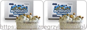 Growkit Marshmallow 1200 ml - Pakiet 2 szt Hybryda