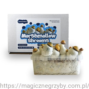 Growkit Marshmallow 1200 ml - Edycja Limitowana - Nowość