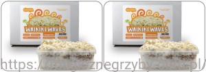 Growkit Waikiki Waves 1200 - ZESTAW-NOWOŚĆ - 2 Sztuki Zestaw 2400