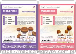 GROWKIT MCKENNAII 2100 + MAZATAPEC 2100 ML ZESTAW 2 SZTUKI 4200
