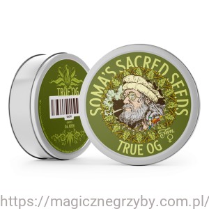 Nasiona Kolekcjonerskie True OG - 5 nasion - Soma Sacred Seeds
