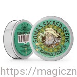 Nasiona Kolekcjonerskie Siostra Buddy - 5 nasion - Soma Sacred Seeds