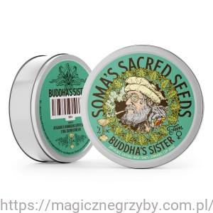 Nasiona Kolekcjonerskie Siostra Buddy - 5 nasion - Soma Sacred Seeds