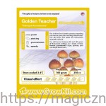GrowKit Mini   Golden Teacher Złoty Nauczyciel 250ml