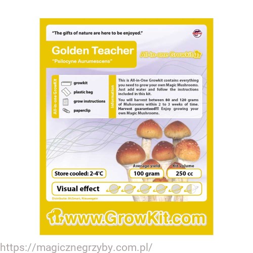 GrowKit Mini   Golden Teacher Złoty Nauczyciel 250ml