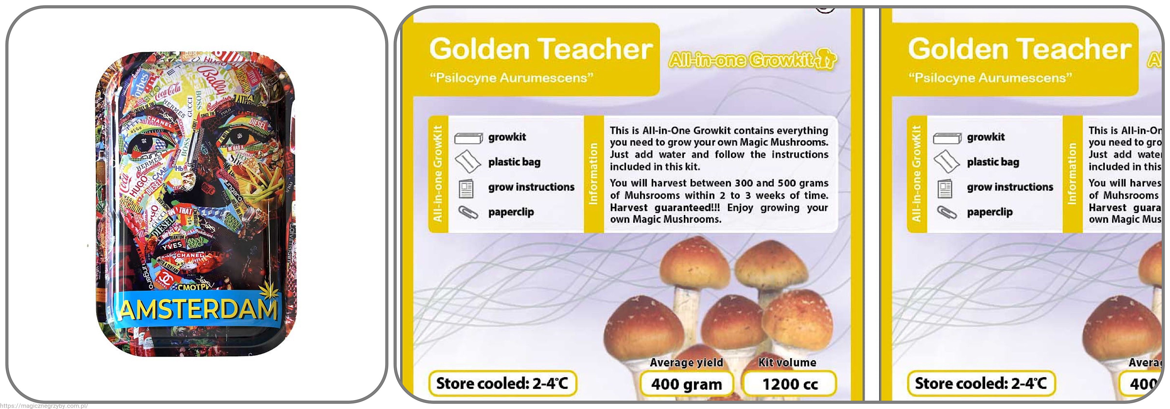 BOB MARLEY + Golden Teacher 1200 x 2- PROMOCJA