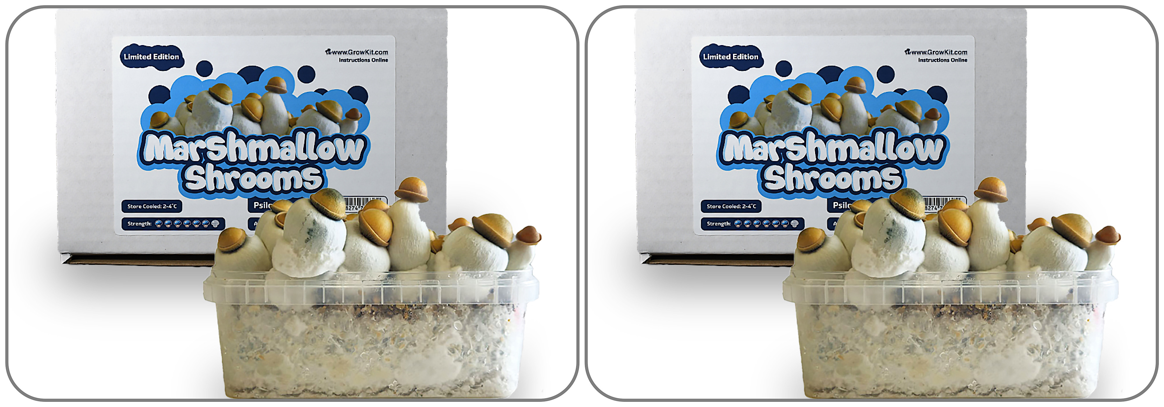 Growkit Marshmallow 1200 ml - Pakiet 2 szt Hybryda 2400