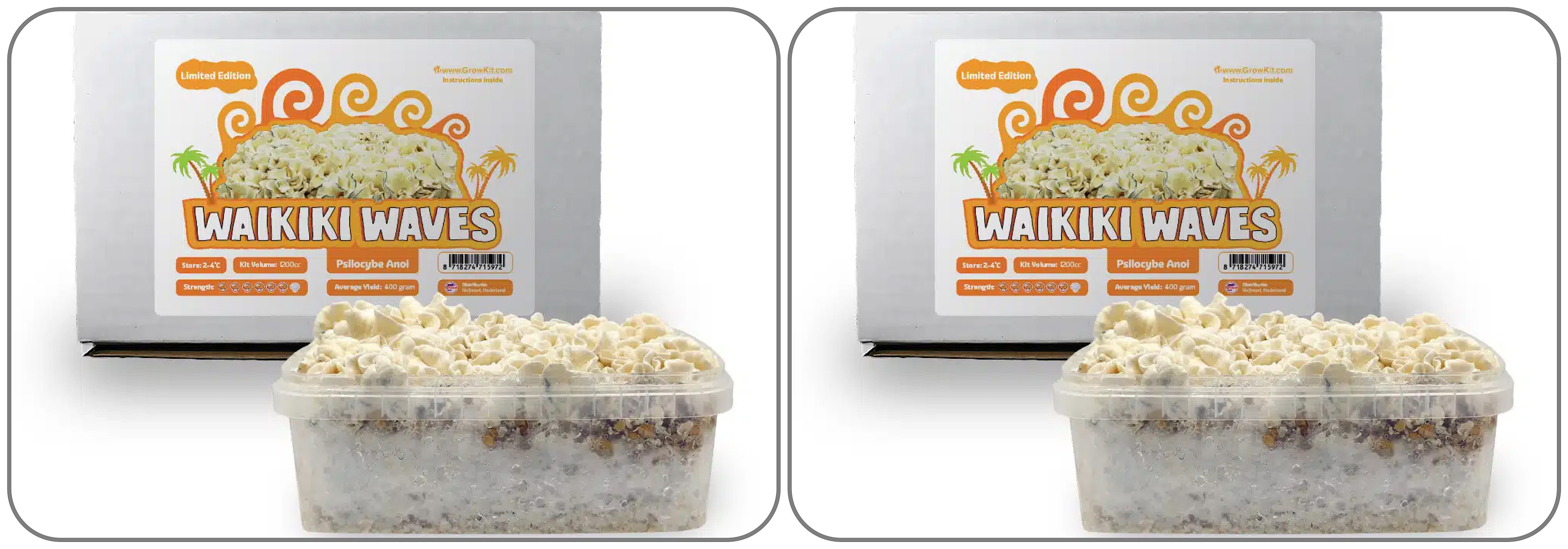 Growkit Waikiki Waves 1200 - ZESTAW-NOWOŚĆ - 2 Sztuki Zestaw 2400